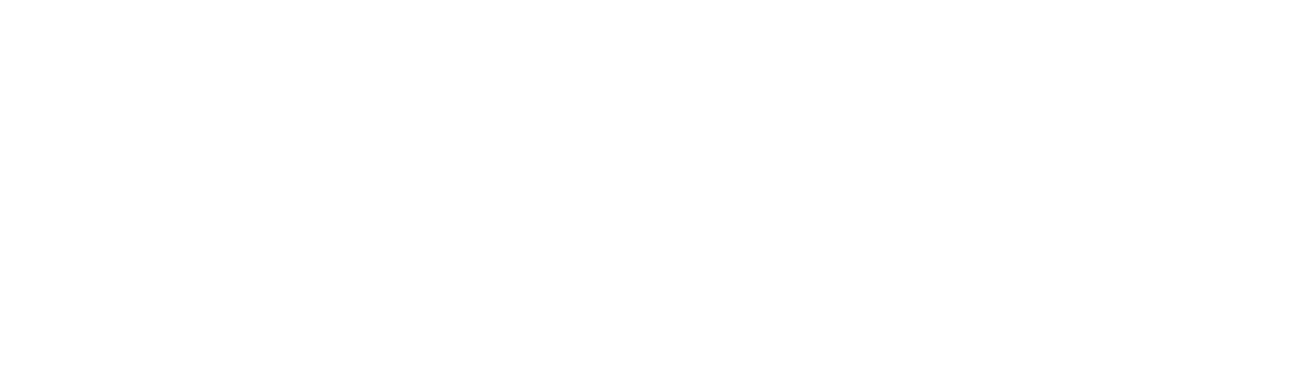 Branza Construcciones